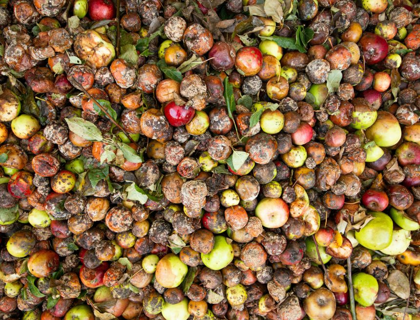 European Parliament adopts new EU rules to reduce waste