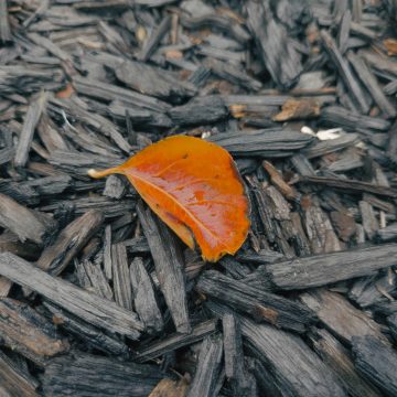 $100bn: turning clean fuel ambition into progress by 2030