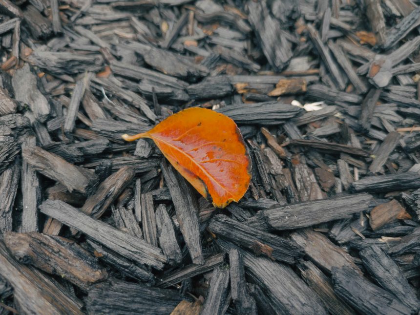 declan-chidlow-AqhLRutHAso-unsplash $100bn: turning clean fuel ambition into progress by 2030