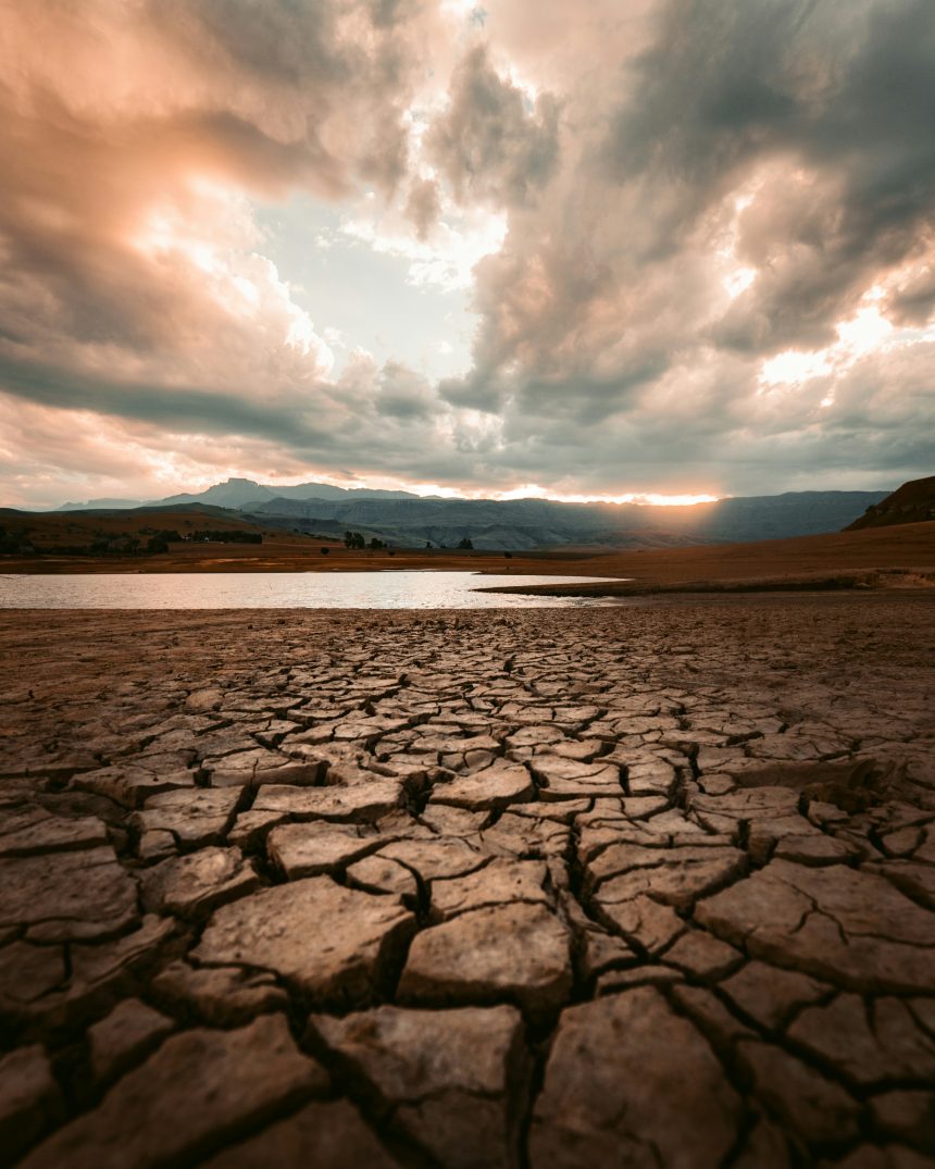 New WMO report says more global temperature records to come
