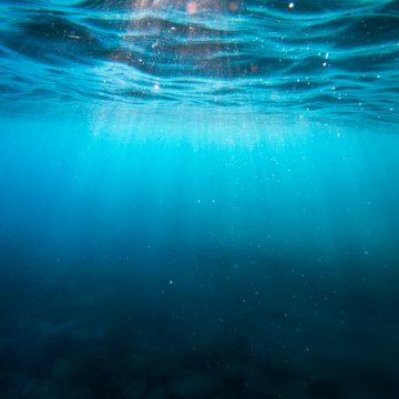 cristian-palmer-XexawgzYOBc-unsplash Copernicus Marine Service embarks on a new chapter of growth